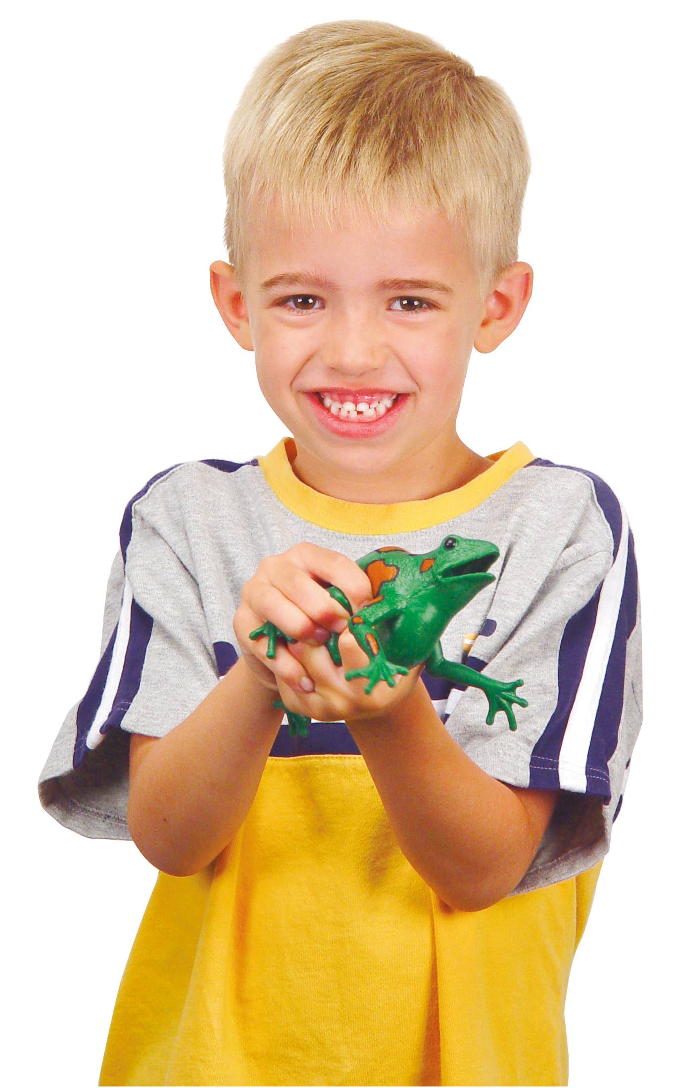 Frog Squishimals Squishy Toys