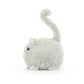 Kitten Caboodle Grey