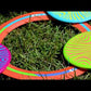 Backnine Nomadic Disc Golf Game