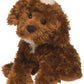 Bosco Chocolate Labradoodle
