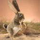Jack Rabbit Puppet