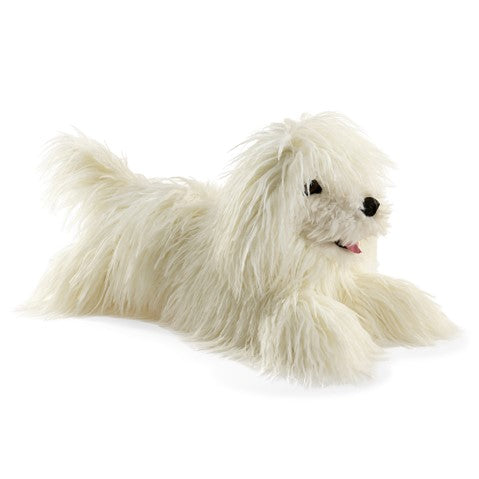 Komondor