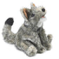 Small Coyote