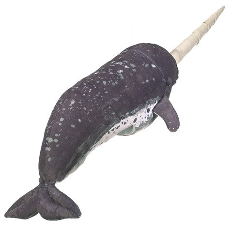 Narwhal
