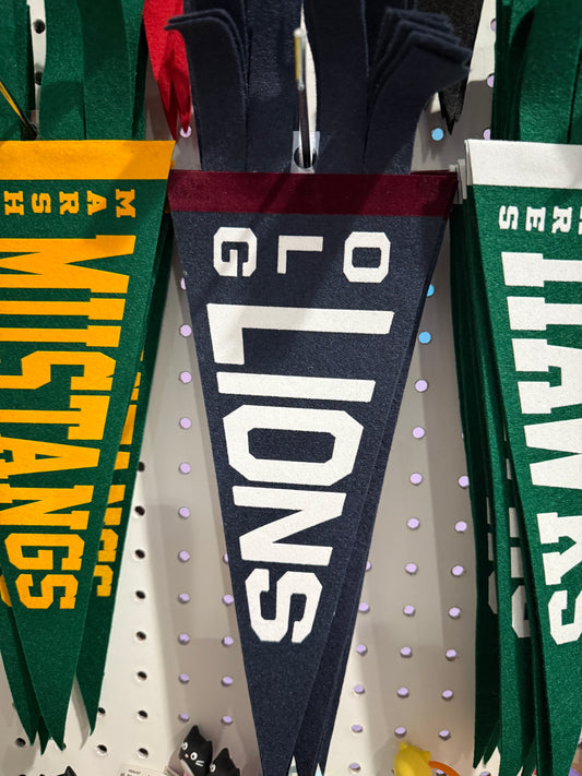 Our Lady of Grace Pennant