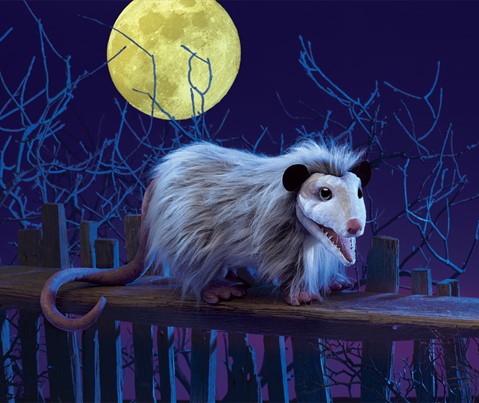 Opossum
