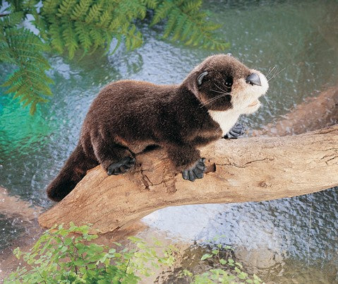 River Otter