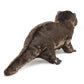 River Otter