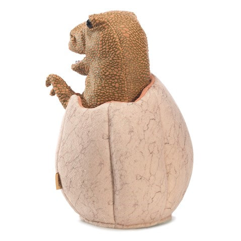 Dinosaur Egg