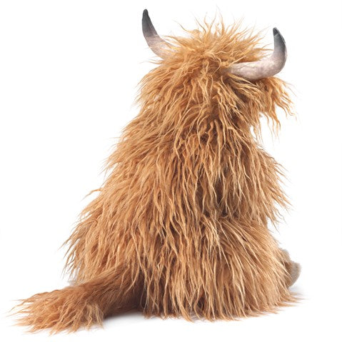 Highland Cow