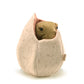 Dinosaur Egg