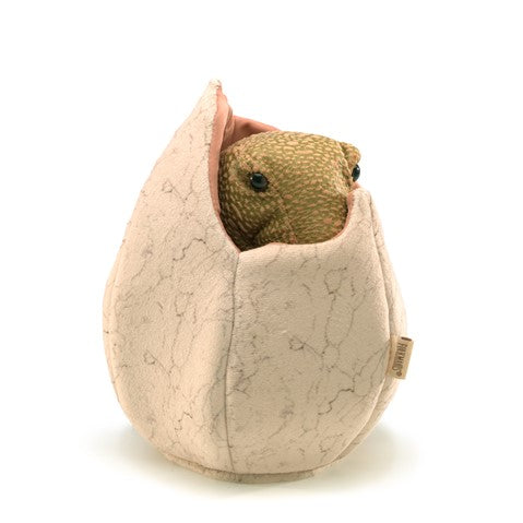 Dinosaur Egg