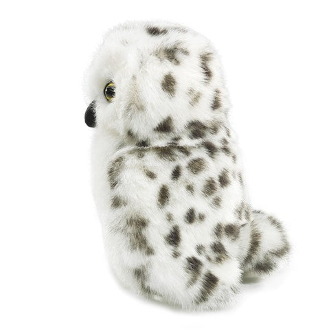 Little Snowy Owl