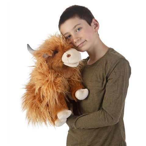 Highland Cow