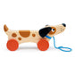 Puppy on Wheels