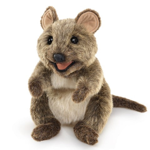 Quokka