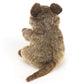 Quokka