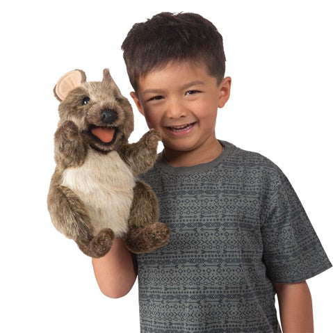 Quokka