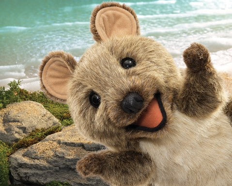 Quokka