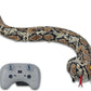 Thin Air RC Rattle Snake