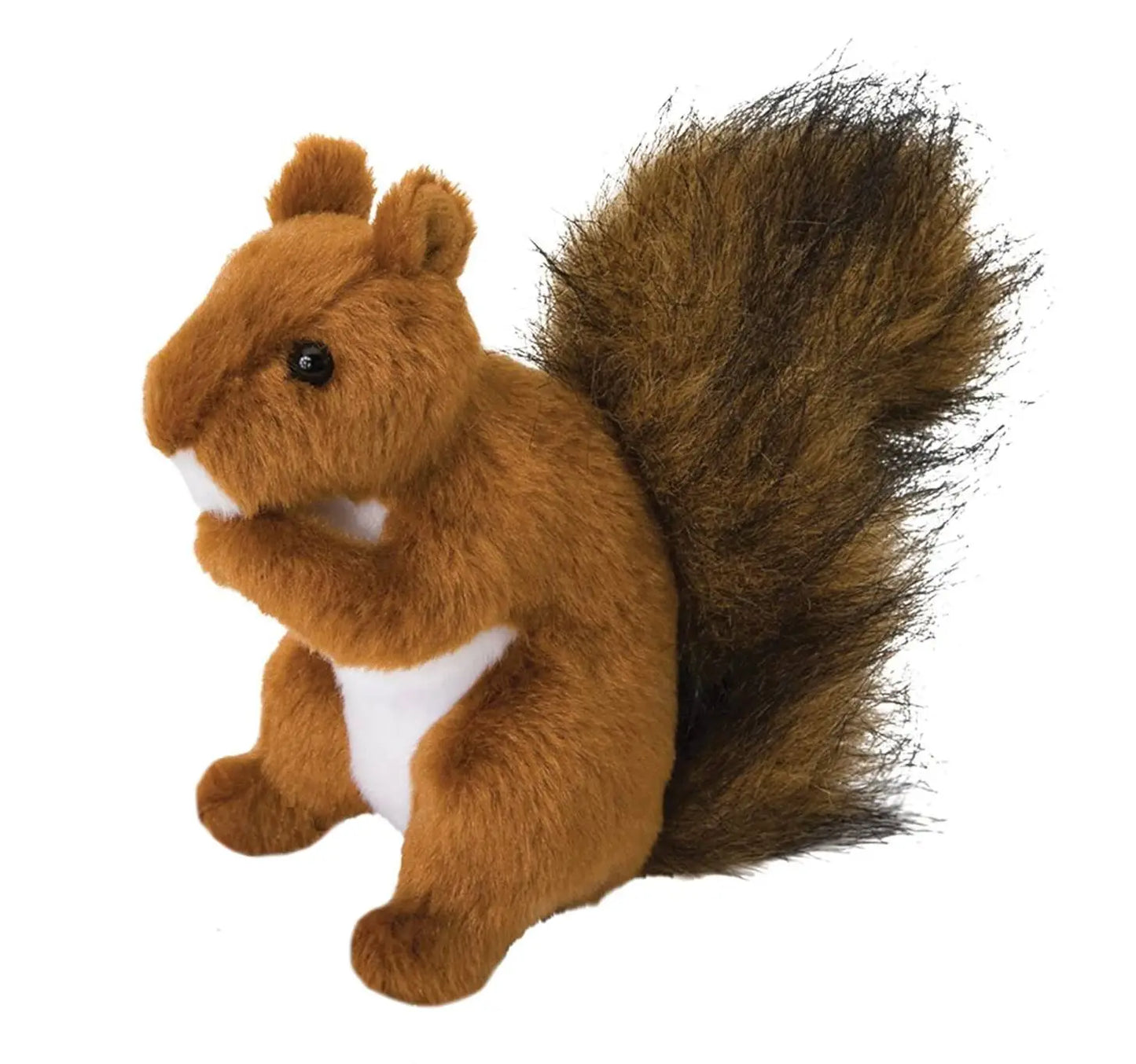 Roadie the Red Squirrel