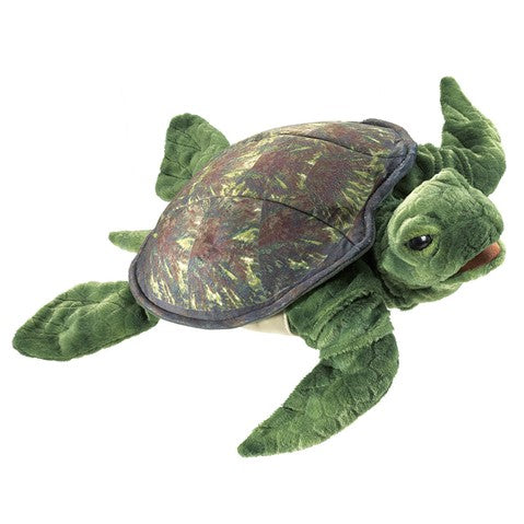 Sea Turtle