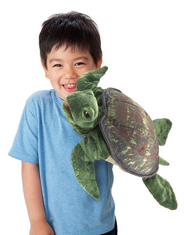 Sea Turtle