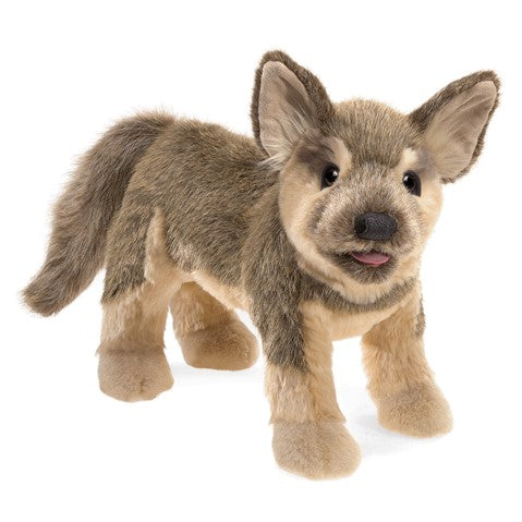 German Shepherd Puppy