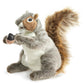 Gray Squirrel
