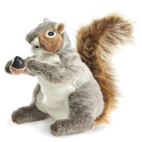 Gray Squirrel