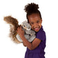 Gray Squirrel