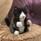 Tuxedo Kitten Puppet
