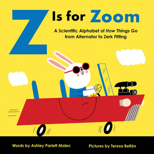Z Is For Zoom