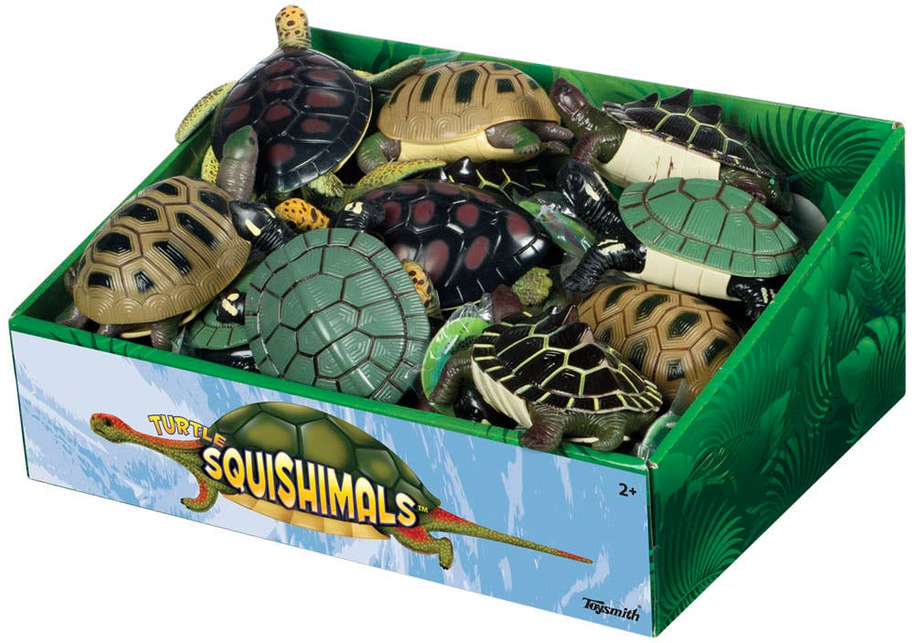 Turtle Shell Booth Turtle Squishamals – The Prize Booth