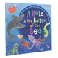 A Hole in the Bottom of the Sea